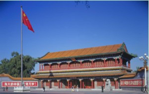 中南?；顒又行? /></a><p><a href=